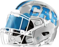 Carolina Panthers helmet
